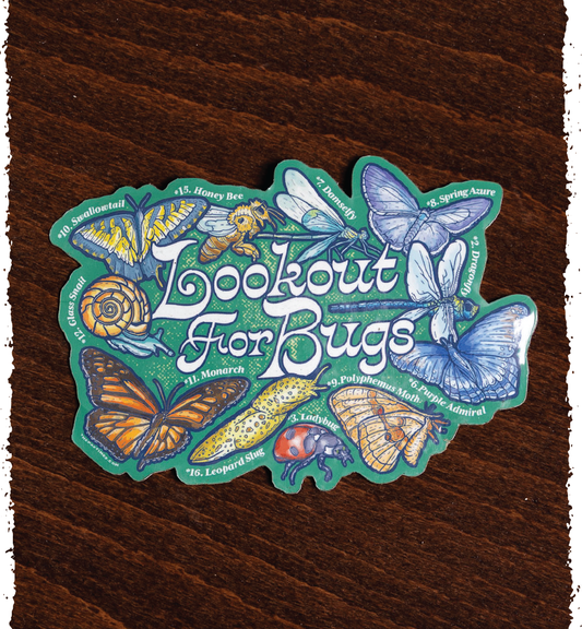 Lookout for Bugs Sticker